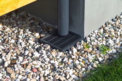 Prevents Soil Erosion